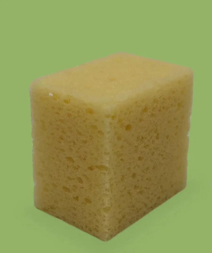 Imitation Sea Sponge